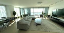 Mini penthouse apartment in Gindi Tower 2 (Tel Aviv)