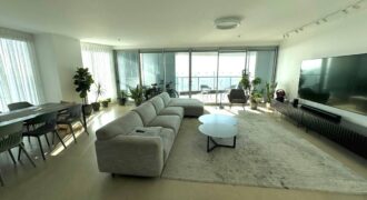 Mini penthouse apartment in Gindi Tower 2 (Tel Aviv)