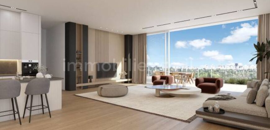 A unique, luxury, penthouse in Bavli