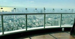 Mini penthouse apartment in Gindi Tower 2 (Tel Aviv)