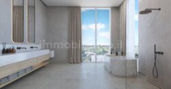 Magnificent Penthouse in Bavli