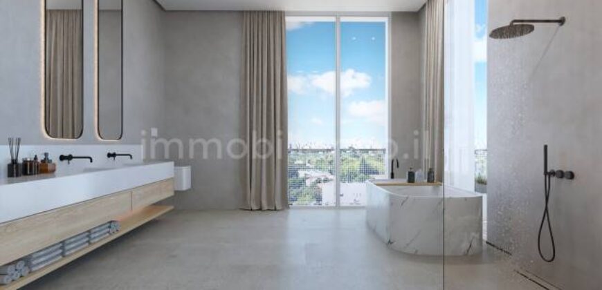 Magnificent Penthouse in Bavli