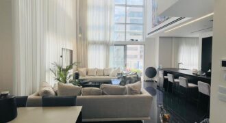 BEAUTIFUL DUPLEX APARTMENT ON MEIR YAARI STREET – North Star