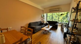 Lovely 2-Room Apartment on Dizengoff