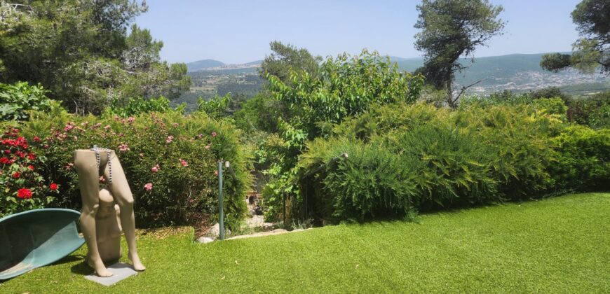 Stunning Private Home in Old Kfar Vradim