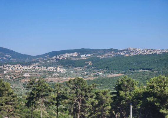 Why Kfar Vradim Should Be Your Next Home: A Glimpse of Tranquility and Quality Living