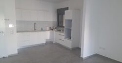 Brand New Five room Rental in Carmei Gat