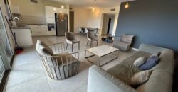 Magnificent Luxury Apartment for Sale at Nof Yam Club – Or Akiva – JERUSALEM IMMOBILIER 026786595