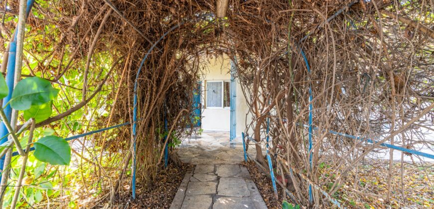 Charming Private Home with Exceptional Potential in the Heart of Givat Ada