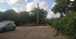 For sale attractive and exclusive in Moshav Hof HaCarmel!