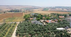 For Sale: Residential Plot in Yavneel – Quarter Dunam in a Pastoral Setting