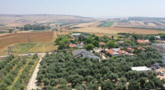 For Sale: Residential Plot in Yavneel – Quarter Dunam in a Pastoral Setting