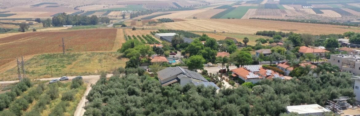 Yavne’el