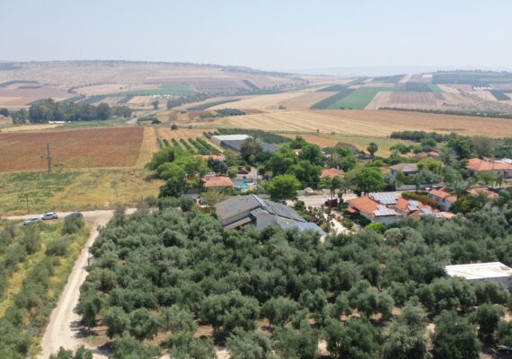 Yavne’el