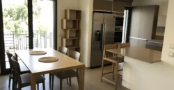 Luxury Furnished Rehavia Apartment For Rent by Owner