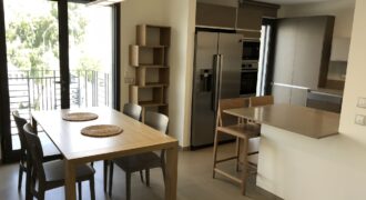 Luxury Furnished Rehavia Apartment For Rent by Owner