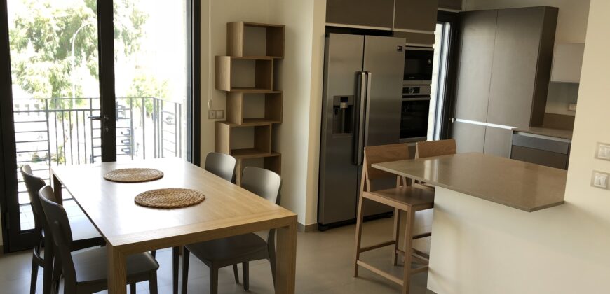 Luxury Furnished Rehavia Apartment For Rent by Owner