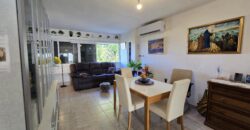 Rosh Pina, well-kept 4-room apartment, rented out, Open view