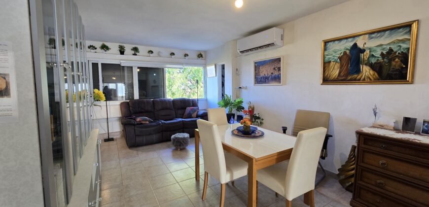 Rosh Pina, well-kept 4-room apartment, rented out, Open view