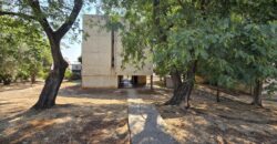 Chatzor – 4 Room Renovated Apartment