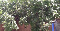 5 Room House Maalot Galil