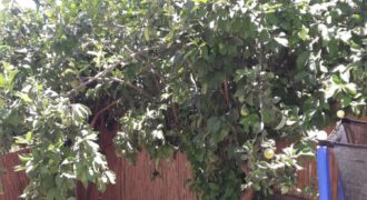 5 Room House Maalot Galil