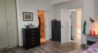 High standart renovated penthouse in green arnona
