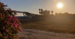 For sale – a rare dream on the first line to the sea – on Habonim Beach!