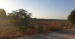 For sale – a rare dream on the first line to the sea – on Habonim Beach!