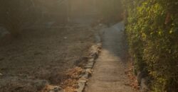 For sale – a rare dream on the first line to the sea – on Habonim Beach!