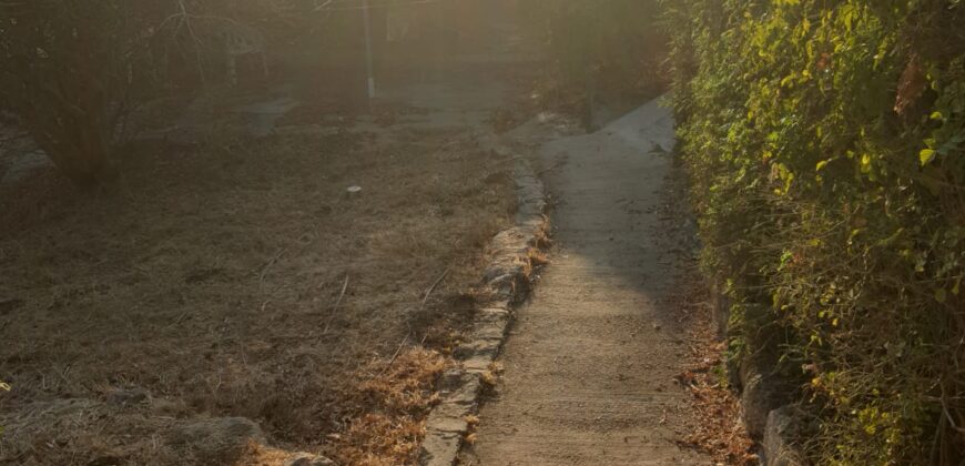 For sale – a rare dream on the first line to the sea – on Habonim Beach!