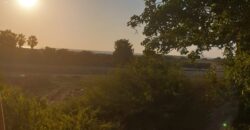 For sale – a rare dream on the first line to the sea – on Habonim Beach!