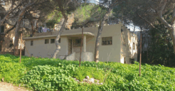 Exclusive Haifa Property in the Carmel Center Exclusive Haifa Property in the Carmel Center