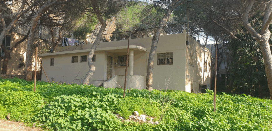 Exclusive Haifa Property in the Carmel Center Exclusive Haifa Property in the Carmel Center