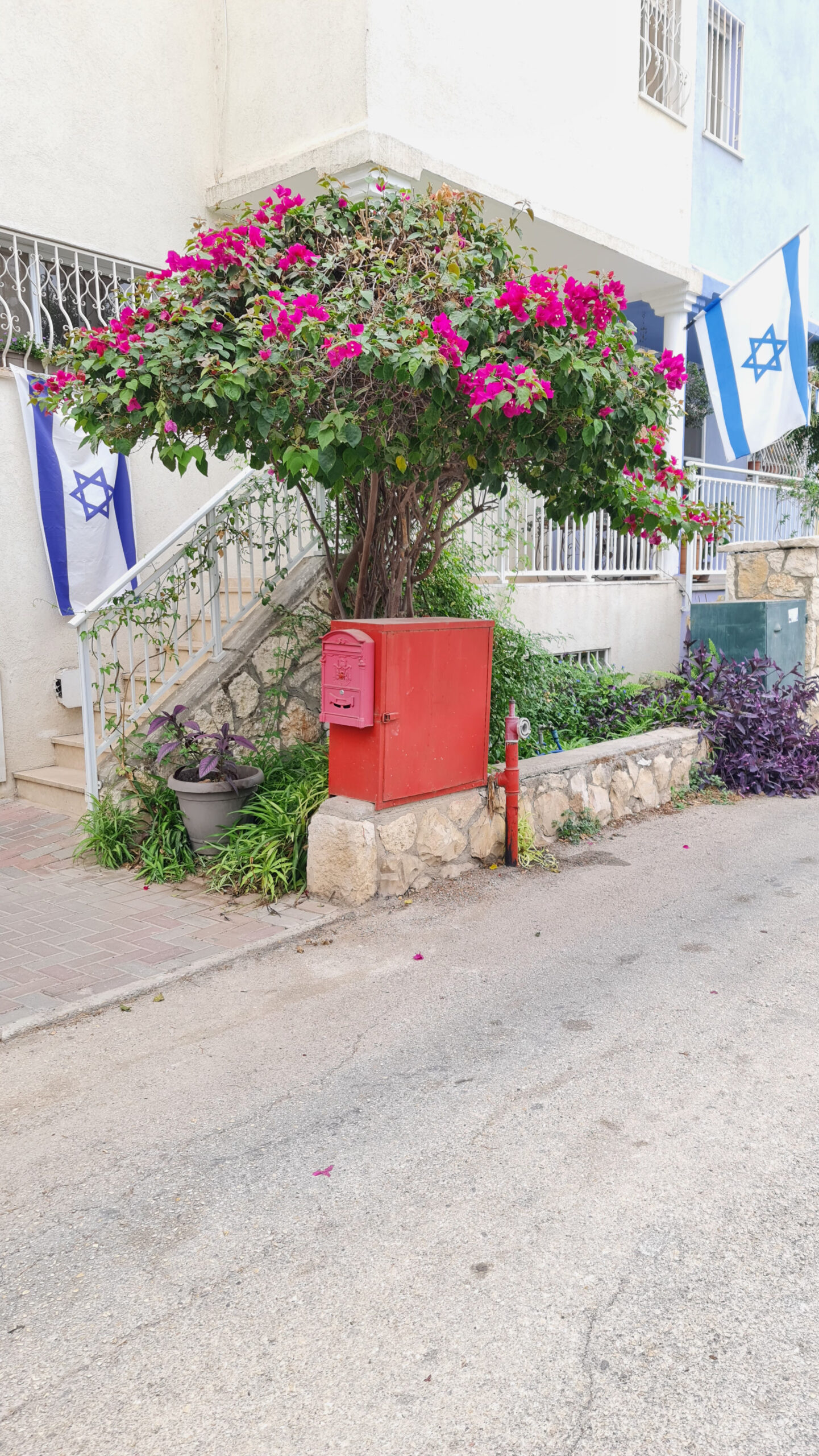 Your Home in Israel Awaits: 7-Room Cottage in a Quiet, Religious Anglo-Friendly Community – No Broker Fee! Your Home in Israel Awaits: 7-Room Cottage in a Quiet, Religious Anglo-Friendly Community – No Broker Fee!