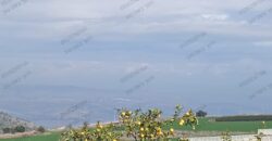 Beautiful Home in Moshav Near Tverya