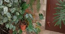 Fantastic Opportunity – Stunning Cottage for Sale in Jerusalem! No Brokerage Fee