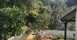 Very nice house – Hod Hasharon