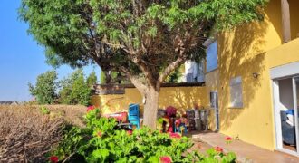 Selection of apartments and houses for rent in Metula!