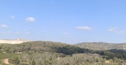 Upgraded 5 Room + Gorgeous Open View For Sale in Neve Shamir