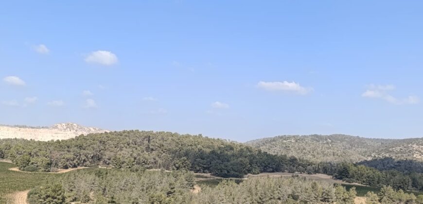 Upgraded 5 Room + Gorgeous Open View For Sale in Neve Shamir