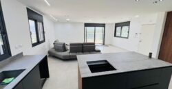 Luxury Mini-Penthouse for Sale | Ma’alot-Tarshiha