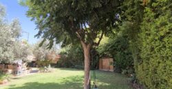 Looking for a large, green garden?