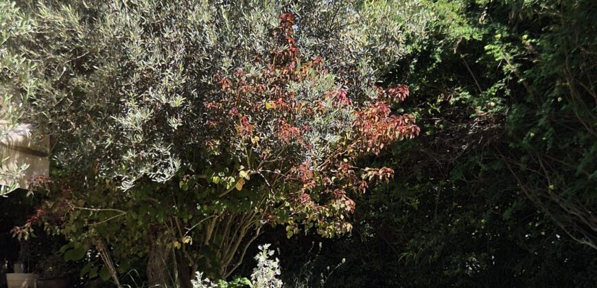 Looking for a large, green garden?