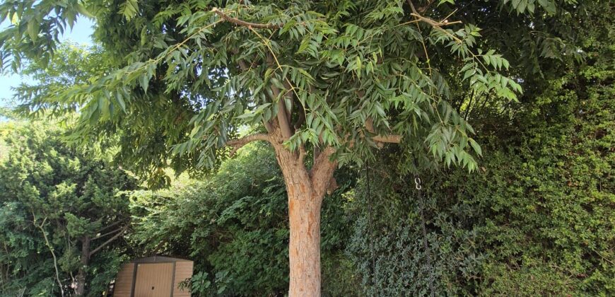 Looking for a large, green garden?