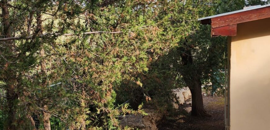 For Sale: Stunning Detached Private House in Ma’ale Efraim – No Brokerage Fee!